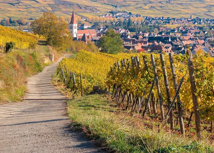 Ibis Styles Strasbourg Nord Palais Des Congres Hotel 3*